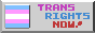Trans rights button
